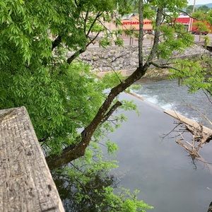 Meet your Posher, Chelsea